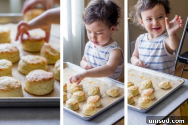 Toddler Grant reaching towards English scones on a table, possibly for styling or snacking.