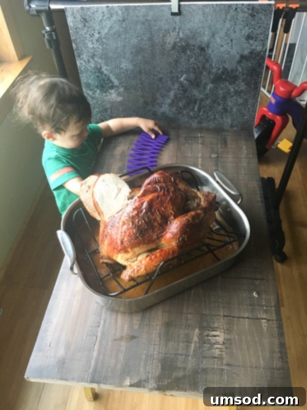 Toddler Grant playing with a colorful trivet, ignoring the roast turkey next to it.