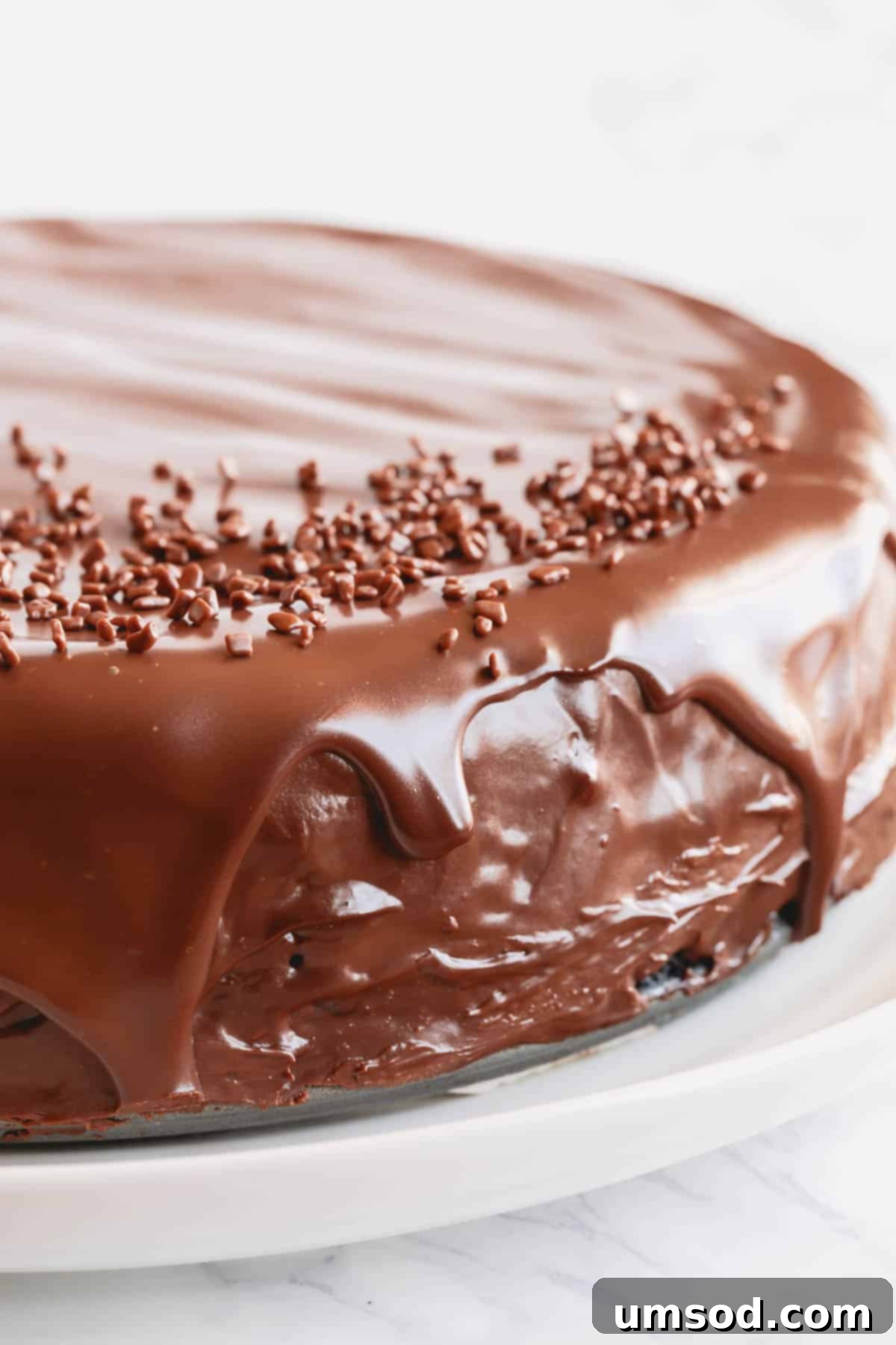 A supreme chocolate cheesecake topped with chocolate ganache. 