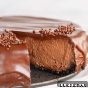 Supreme chocolate cheesecake with a slice missing.