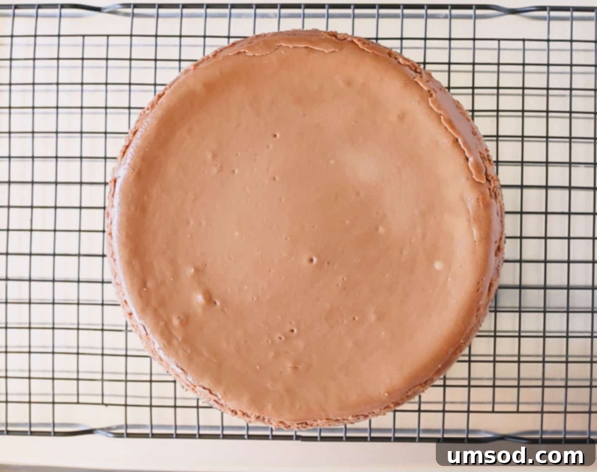 Baked chocolate cheesecake on a wire rack with springform removed.
