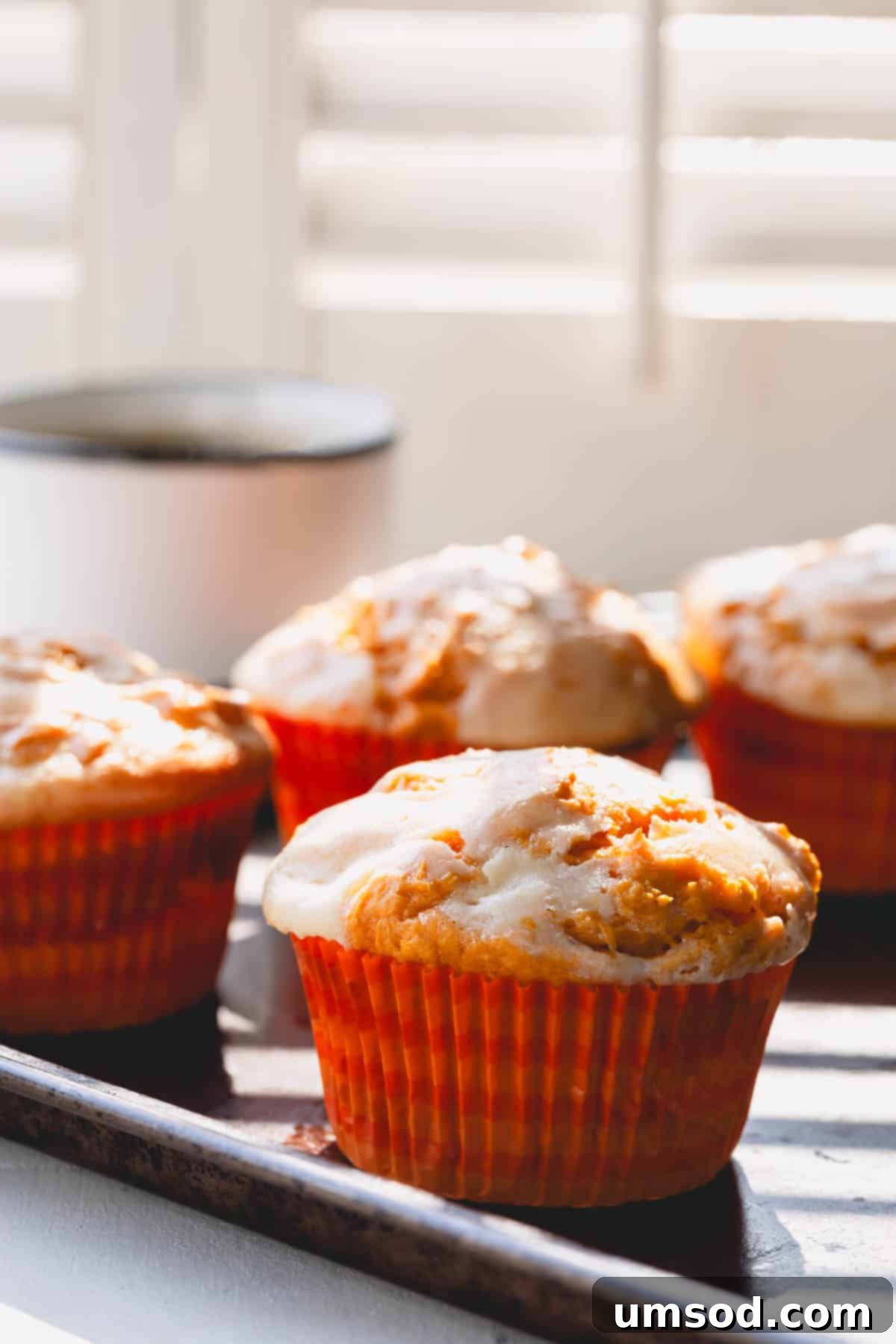 Spiced Pumpkin Cream Cheese Swirl Muffins 7 Pumpkin cheesecake muffins in muffin liners. A full tray of baked muffins ready to be served.