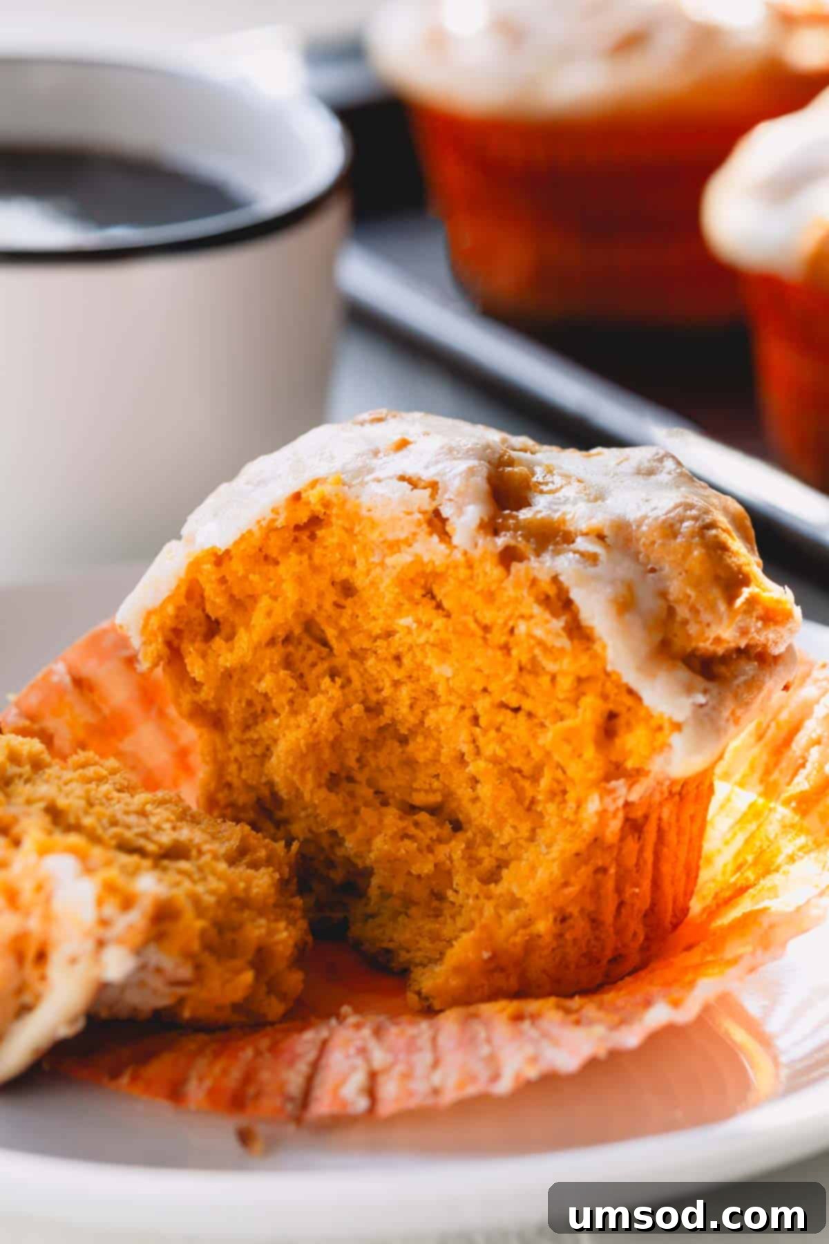 Spiced Pumpkin Cream Cheese Swirl Muffins 8 A pumpkin muffin teared in half on a plate. The cream cheese swirl is visible inside.