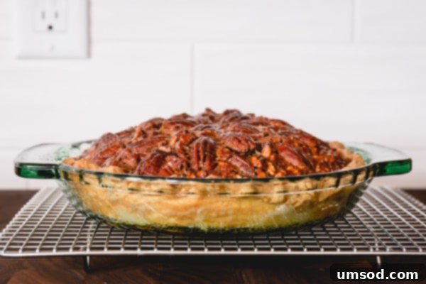 Freshly baked pecan pie with a slightly domed top
