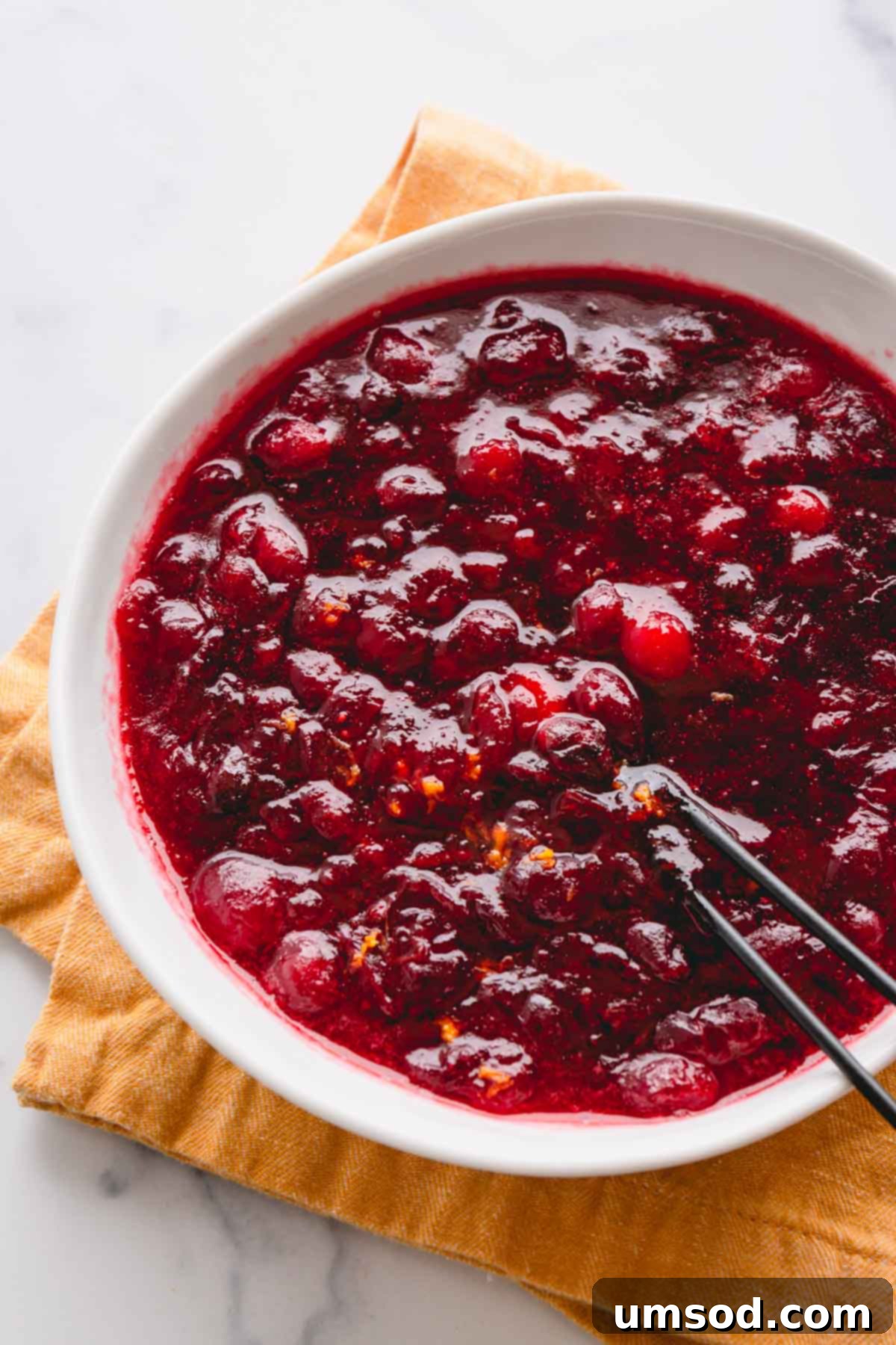 Homemade Orange Cranberry Sauce 2 Lush, homemade cranberry sauce in a large elegant white bowl, garnished with fresh cranberries and orange zest.