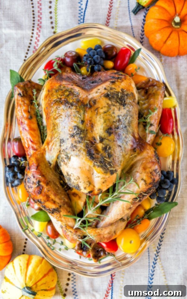 The Secret to a Gorgeously Juicy Brine-Free Thanksgiving Turkey 2 A perfectly golden-brown, juicy roast turkey on a platter, ready for carving, emphasizing its no-brine preparation with champagne and butter.