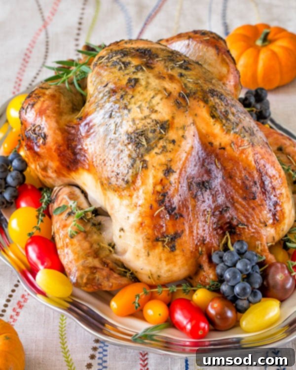 The Secret to a Gorgeously Juicy Brine-Free Thanksgiving Turkey 5 Another view of the butter injection process, highlighting how butter is absorbed by the turkey meat.