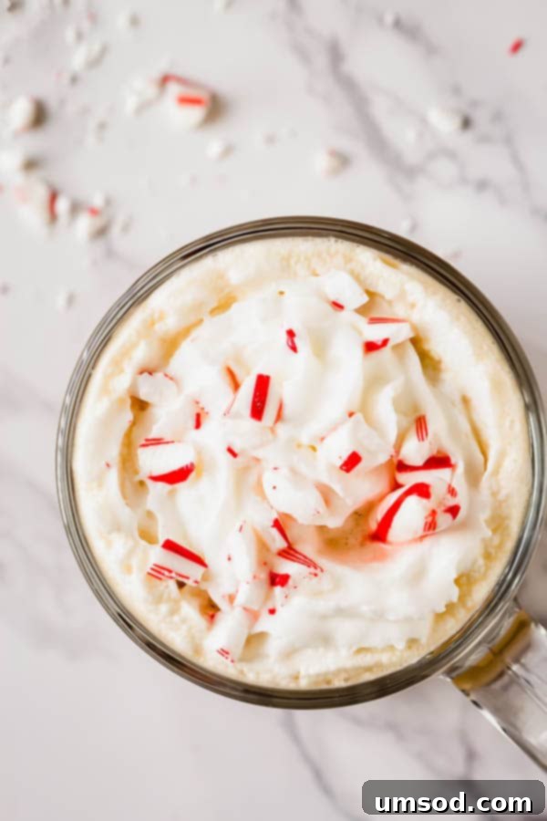 Sweet Crust Coffee 6 A bottle of International Delight Peppermint Mocha coffee creamer.