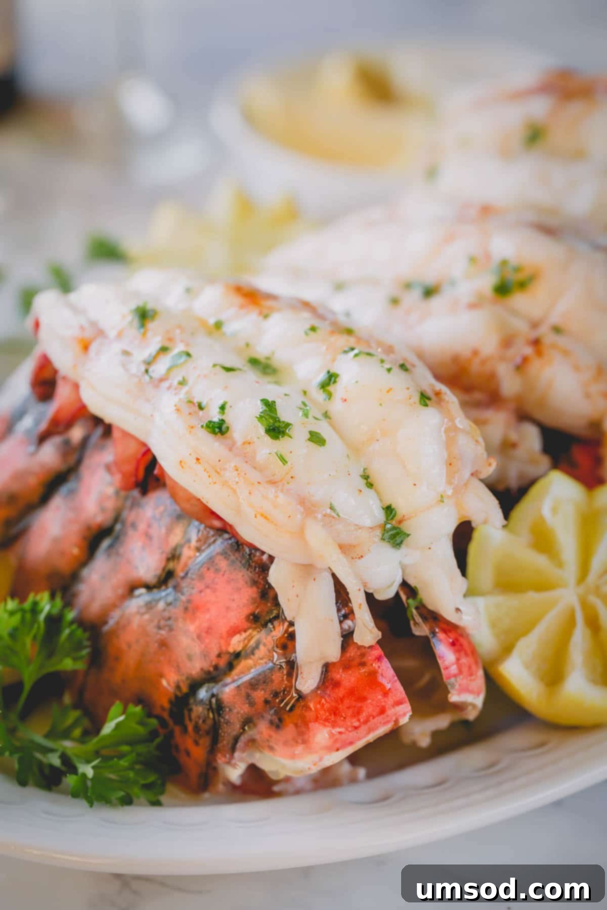 A baked lobster tail on its shell.