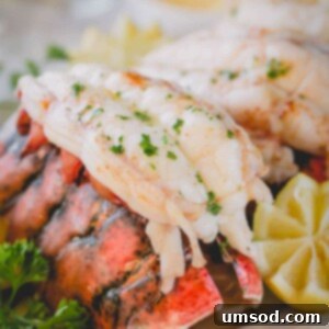 a baked lobster tail on its shell