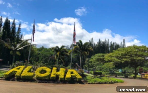 Smiling family enjoying a tropical view in Kauai