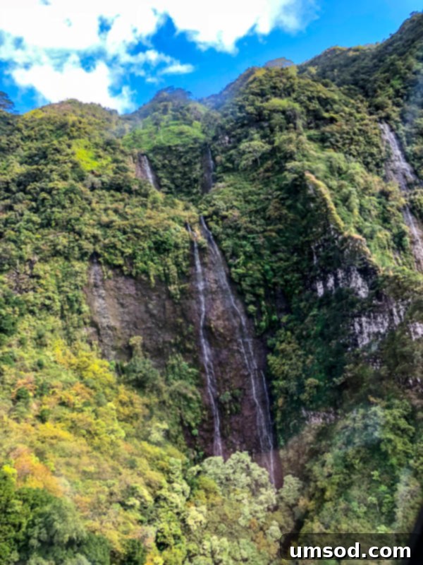 Toddler Friendly Kauai Exploring the Garden Isle 15 Another perspective of a towering waterfall amidst Kauai's dense greenery