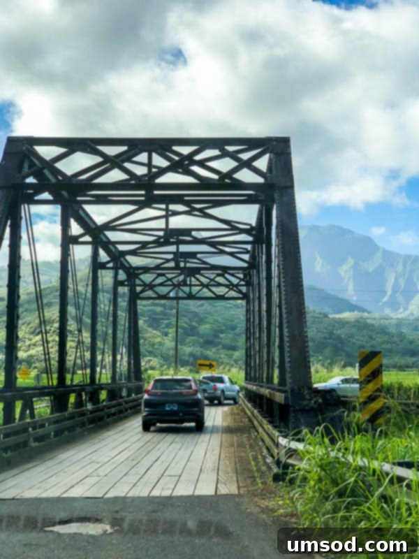 Stunning coastal view on Kauai's North Shore with a winding road and ocean