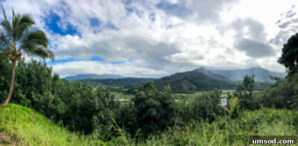 Scenic overlook on Kauai's North Shore showcasing a beautiful bay