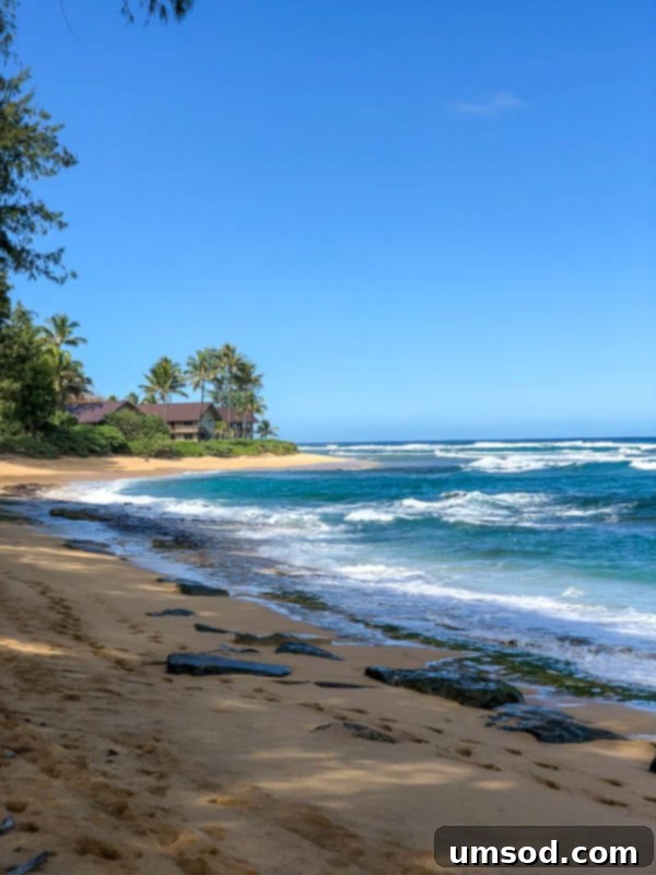 Toddler Friendly Kauai Exploring the Garden Isle 20 Lush tropical foliage and distant ocean view in Kauai