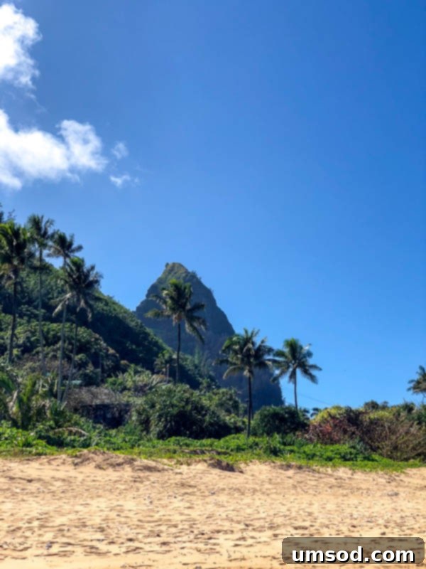 Toddler Friendly Kauai Exploring the Garden Isle 21 Colorful tropical flowers blooming in Kauai's natural landscape