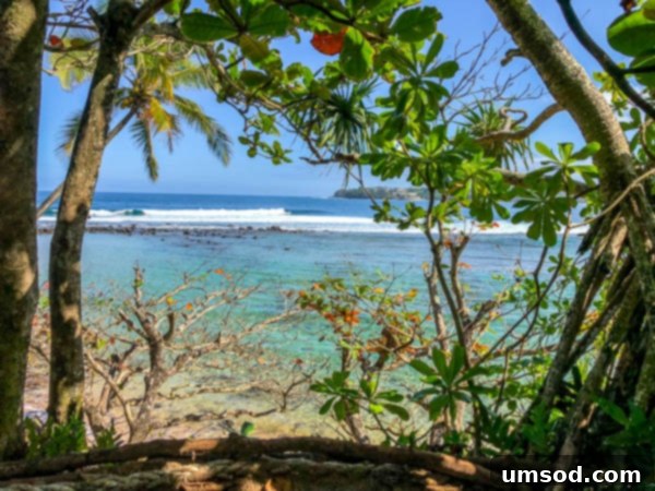 Picturesque beach on Kauai's North Shore with palm trees and gentle waves