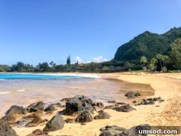 Idyllic view of a pristine Kauai beach with palm trees leaning over the sand