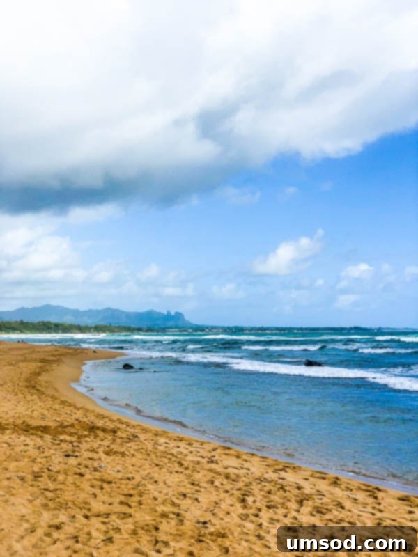 Vibrant green jungle foliage against a bright blue sky in Kauai