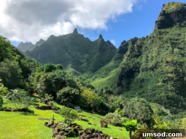 Lush tropical plants and terraced gardens at Limahuli Garden, Kauai