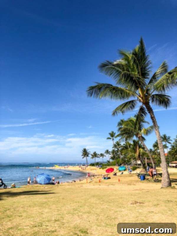 Toddler Friendly Kauai Exploring the Garden Isle 32 Crowded Poipu Beach on Kauai with many people enjoying the water and sand