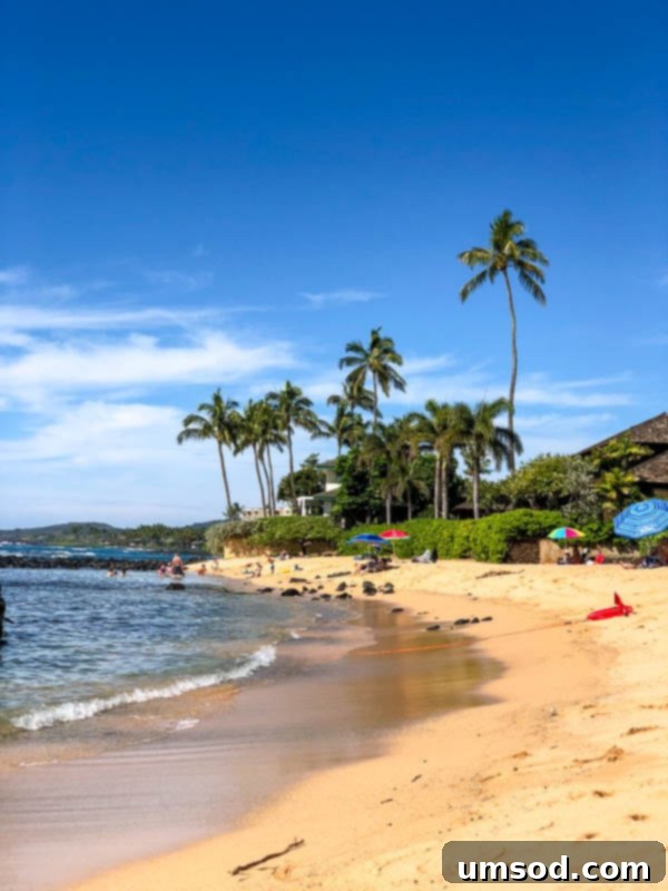 Toddler Friendly Kauai Exploring the Garden Isle 33 Tranquil Baby Beach on Kauai, with calm shallow water ideal for children