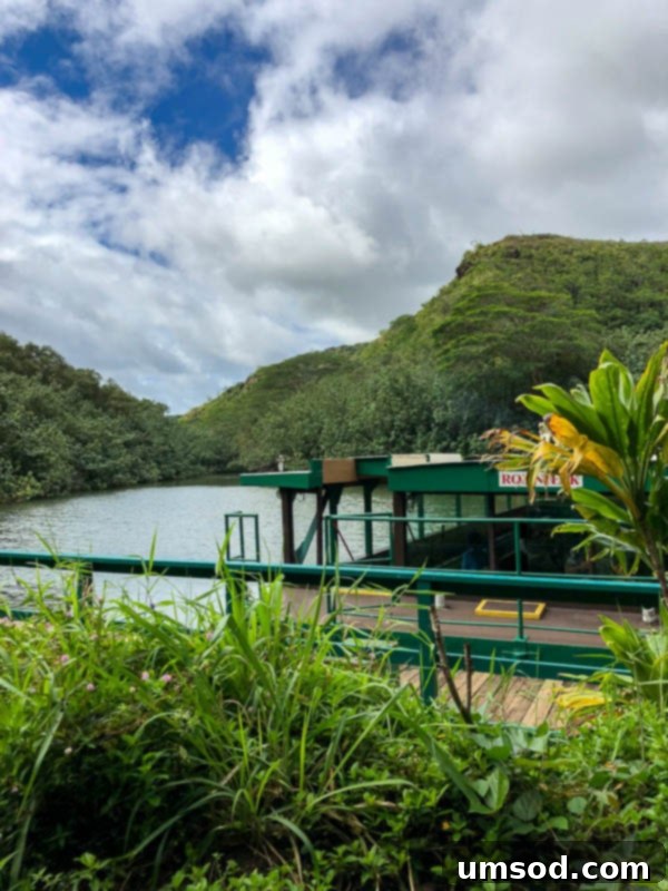 View of the Fern Grotto entrance, a natural wonder on the Wailua River tour