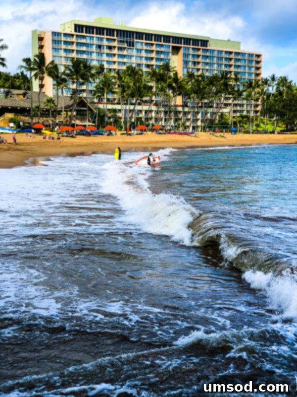 Beautiful tropical plants and flowers in bloom on Kauai