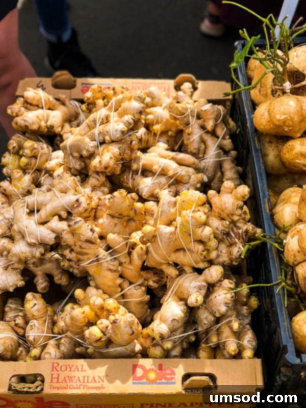 Toddler Friendly Kauai Exploring the Garden Isle 44 Close-up of fresh, ripe mangos at a Hawaiian farmer's market