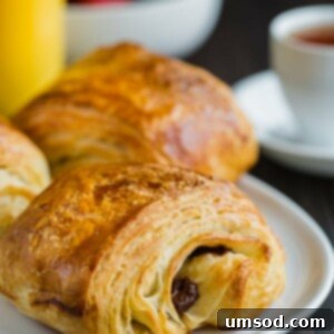 Flaky Chocolate Indulgence 12 Perfectly baked Pain au Chocolat
