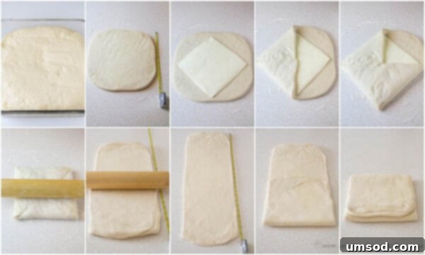 Flaky Chocolate Indulgence 6 Laminated croissant dough resting on Day 2