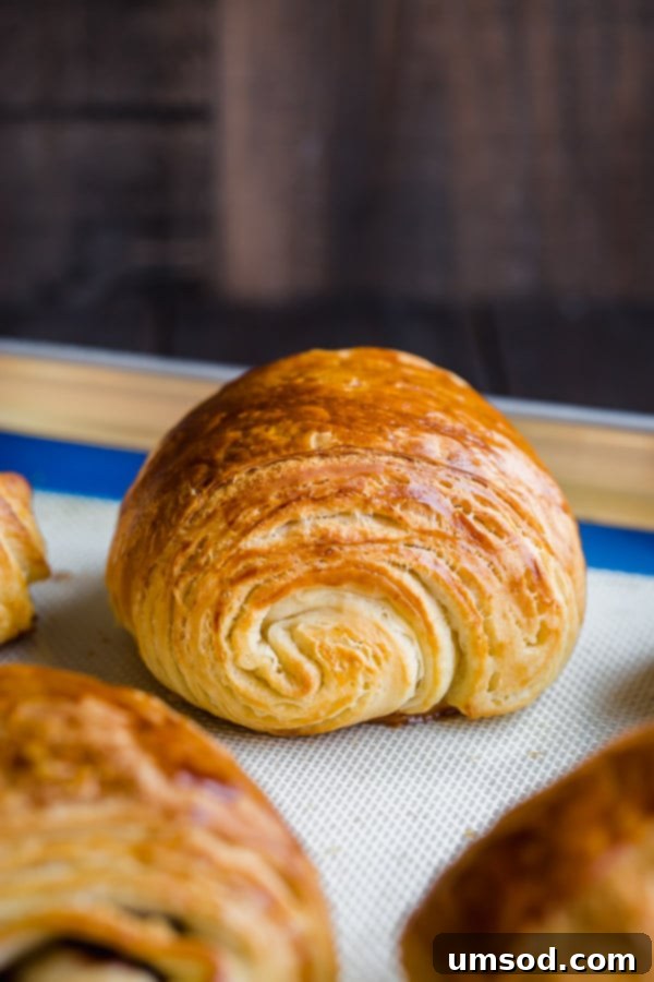 Flaky Chocolate Indulgence 9 Homemade chocolate croissants from scratch is easier than you may think. You just need a little bit of patience and rolling skills. #painauchocolat #homemadechocolatecroissant #croissant