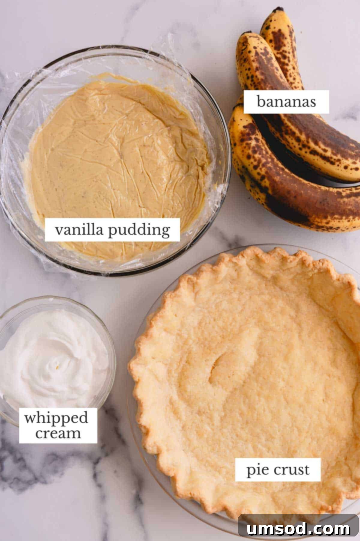 Banana cream pie components: blind baked pie crust, vanilla pudding, bananas and whipped cream.