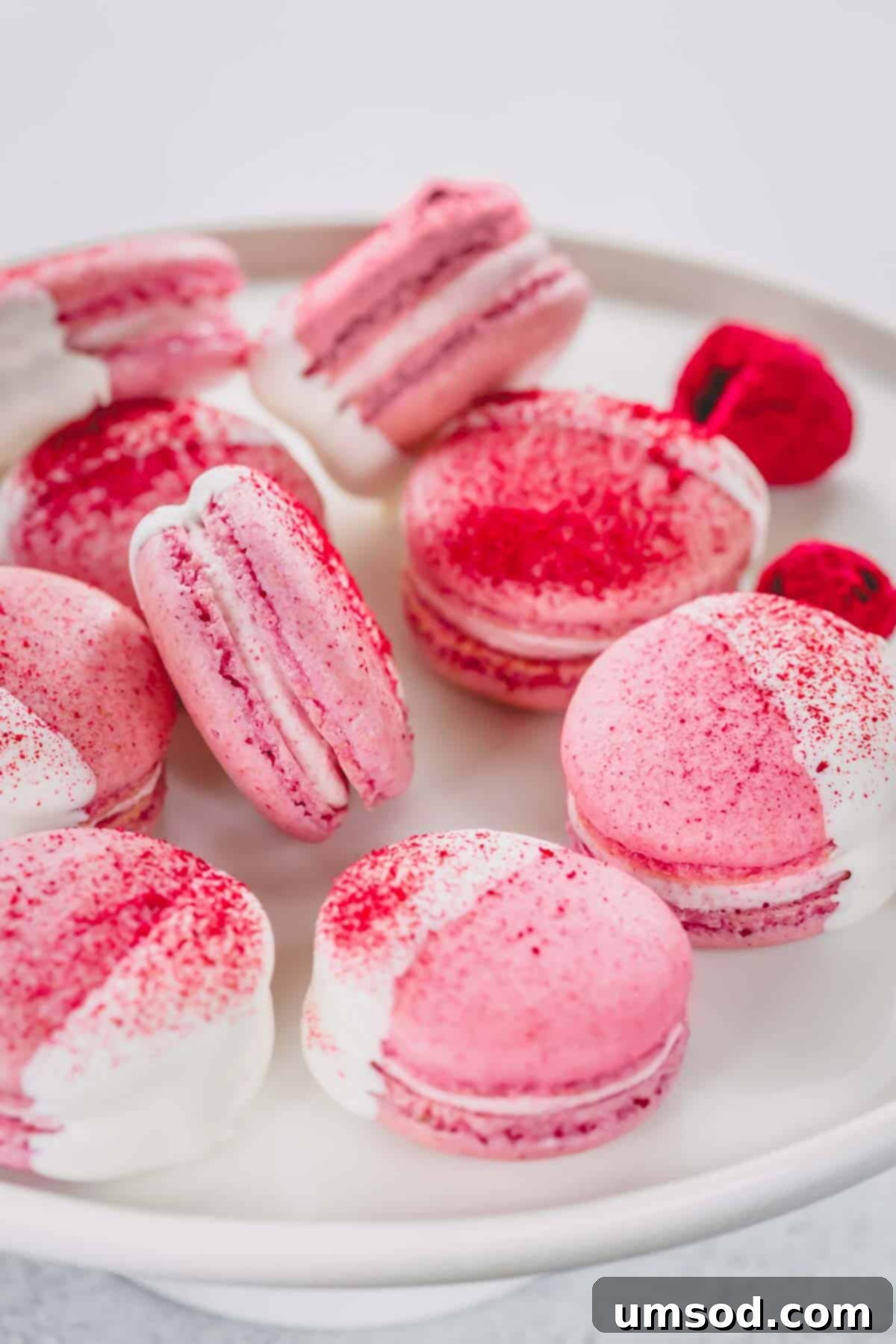 White chocolate dipped raspberry macarons arranged on a white platter, showcasing their delicate feet and beautiful color.