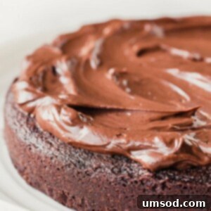 A beautifully textured bowl of Indulgent Mocha Frosting, whipped to perfection, ready for decorating. Ideal for chocolate and coffee lovers.