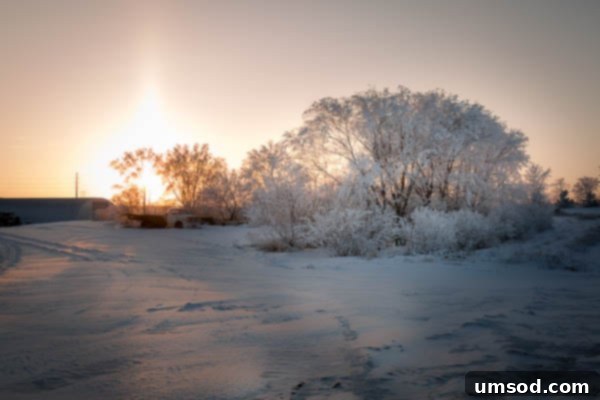 New Beginnings in Our Home 13 Charming kitchen decor on a window sill, bathed in natural light