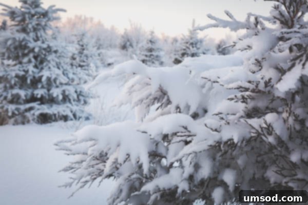 New Beginnings in Our Home 4 Spacious and functional kitchen with warm brown cabinets and large windows