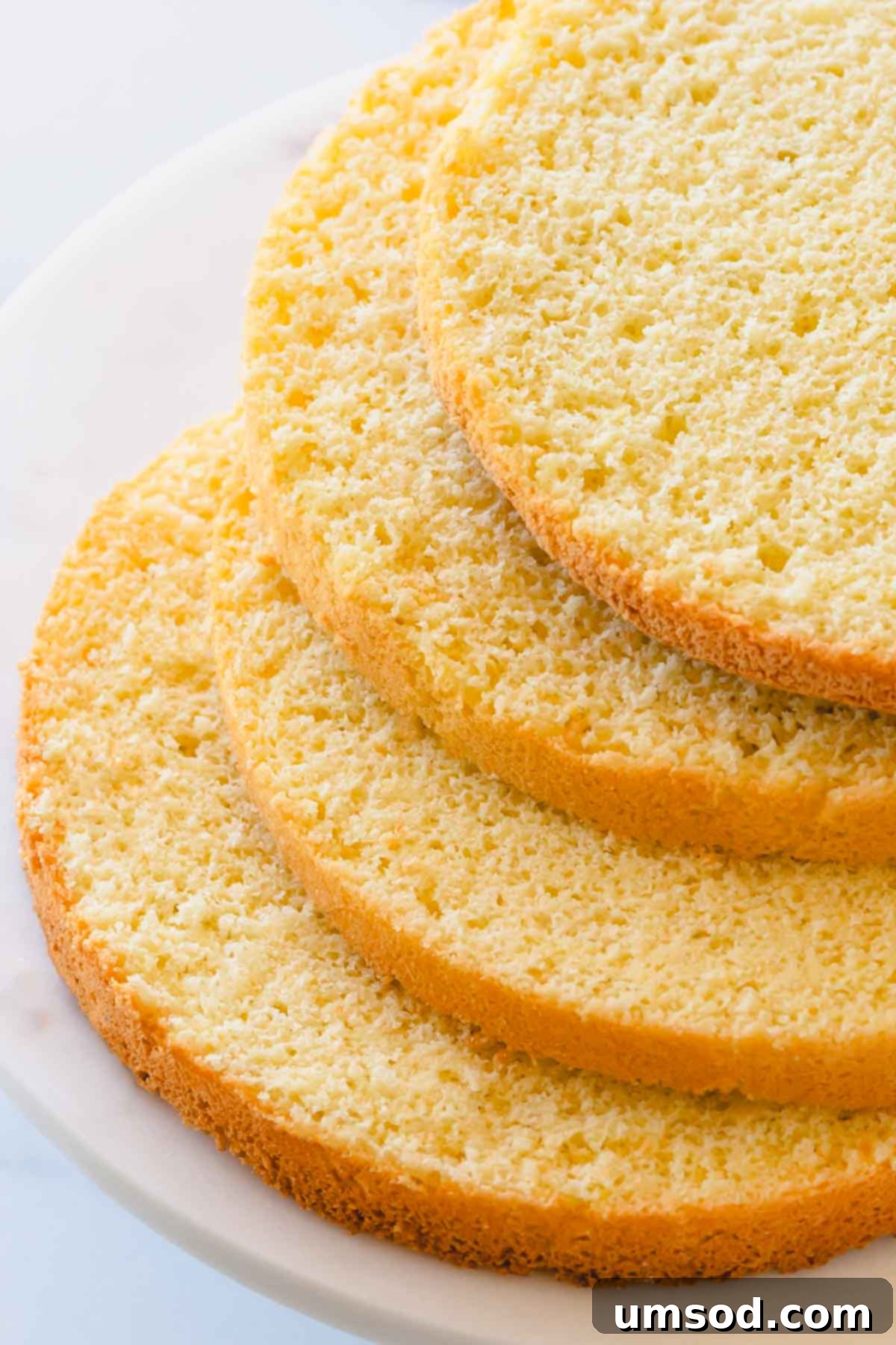 Four golden-brown sponge cake rounds stacked, ready for layering.