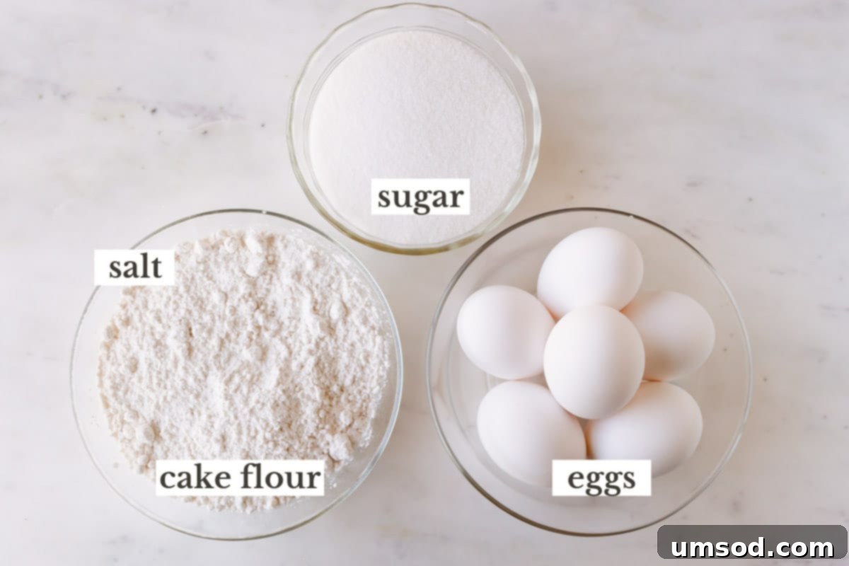 A selection of essential sponge cake ingredients: cake flour, salt, granulated sugar, and fresh eggs.