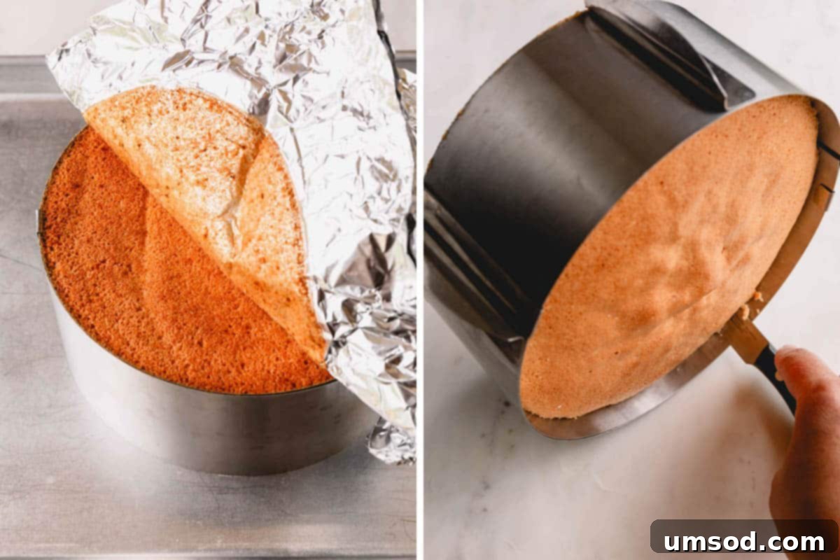 A baked sponge cake being gently removed from its springform pan after cooling, showcasing its integrity.