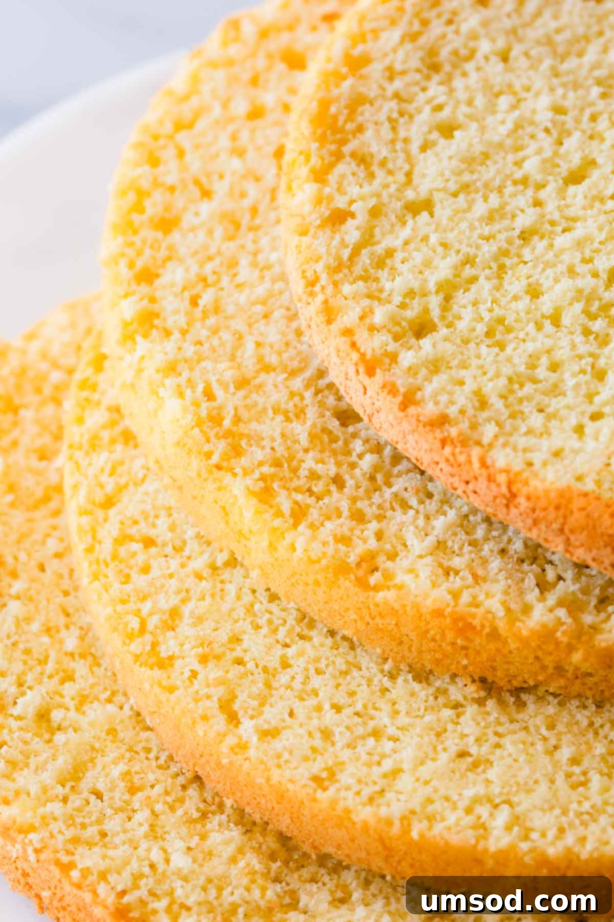 A close-up view of four perfectly baked and evenly sliced sponge cake layers, stacked for visual appeal.