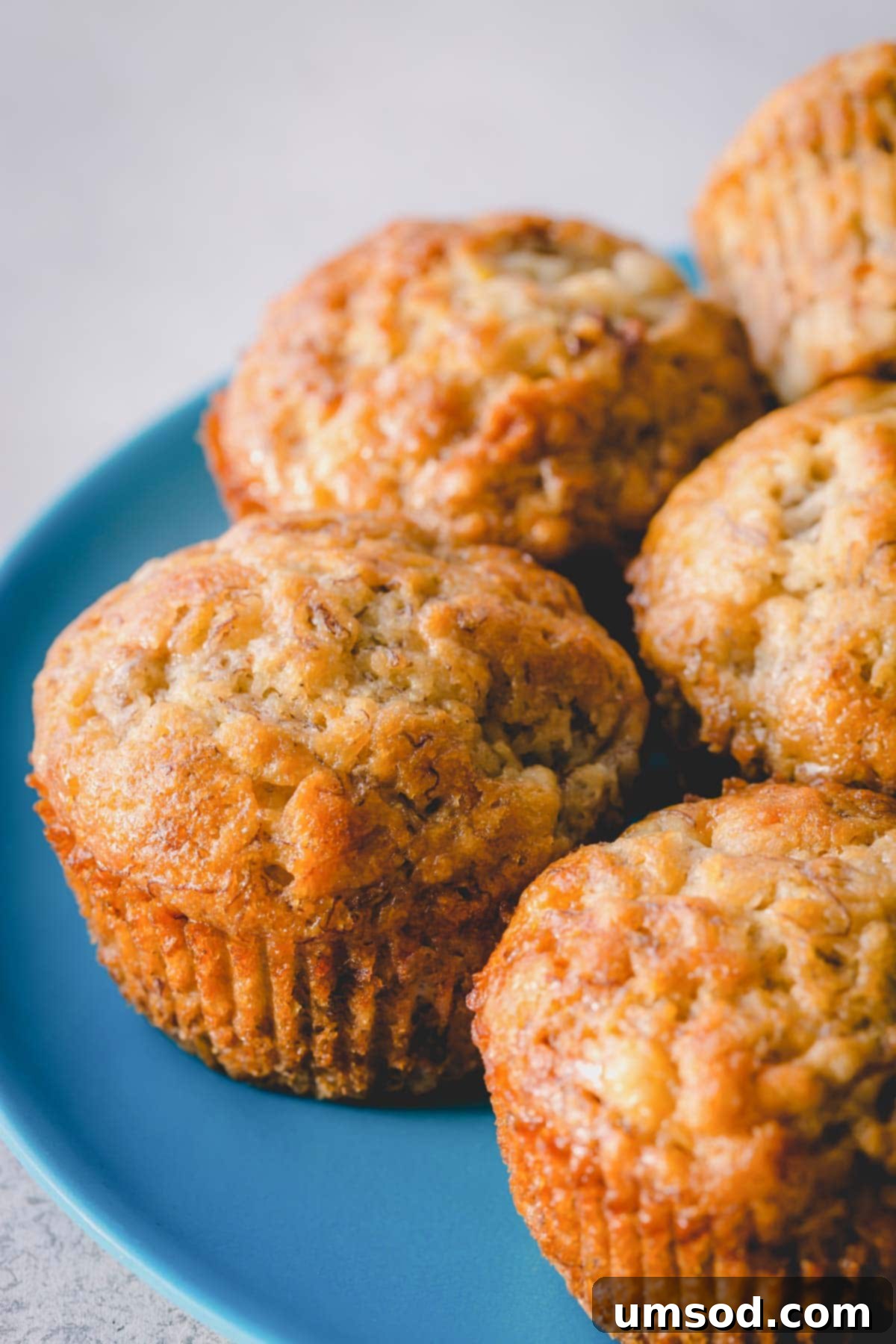 Effortless Banana Treats 2 Banana muffins on a blue plate, highlighting their moist texture and golden-brown tops.