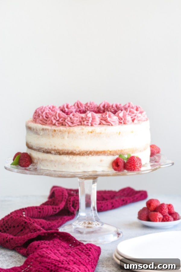 Luscious Raspberry Cream Cake 2 Delicate sponge cake layers filled with creamy sweet cream cheese frosting and raspberry jello made with real fruits. Gorgeous, tall and impressive cake for any occasion.