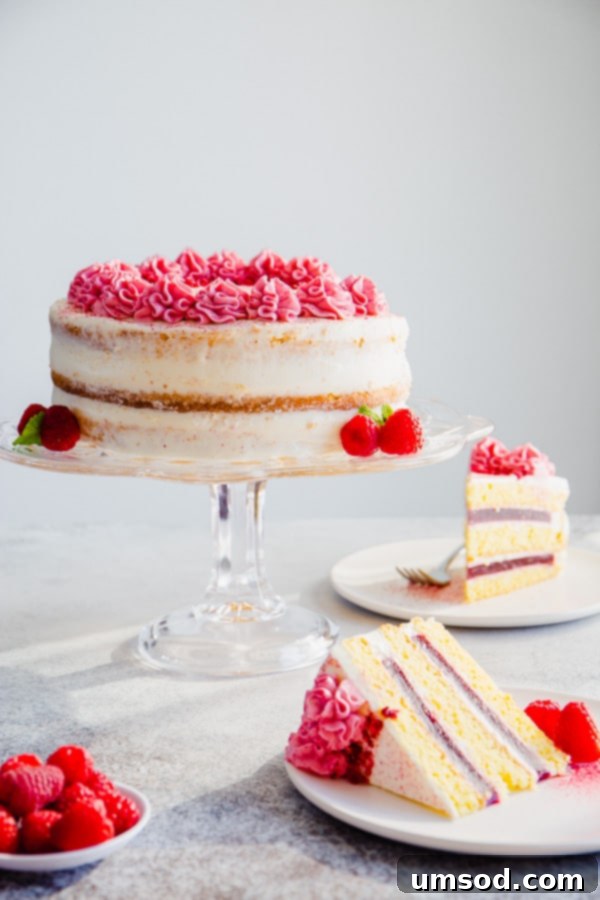 Luscious Raspberry Cream Cake 11 Delicate sponge cake layers filled with creamy sweet cream cheese frosting and raspberry jello made with real fruits. Gorgeous, tall and impressive cake for any occasion.