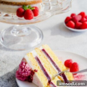 Luscious Raspberry Cream Cake 12 img 24344 11