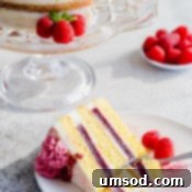 Luscious Raspberry Cream Cake 13 img 24344 12