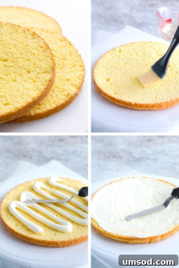 Luscious Raspberry Cream Cake 6 Delicate sponge cake layers filled with creamy sweet cream cheese frosting and raspberry jello made with real fruits. Gorgeous, tall and impressive cake for any occasion.