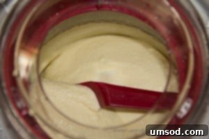 Freshly churned Oreo Ice Cream being scooped into an airtight container for freezing.