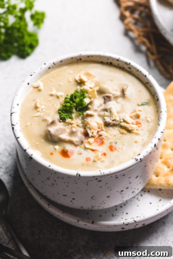 Hearty Oyster Potato Stew 2 A bowl of creamy oyster stew with a spoon, garnished with fresh parsley and crackers beside it. This family-favorite recipe is the best I've ever had.