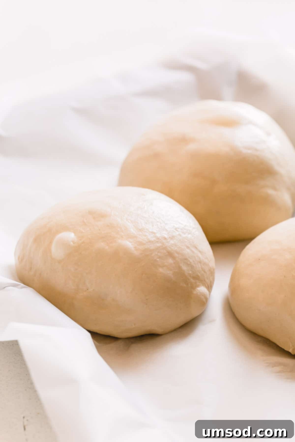 Effortless Homemade Pizza Dough 2 Two perfectly formed pizza dough balls resting on parchment paper, ready for fermentation.